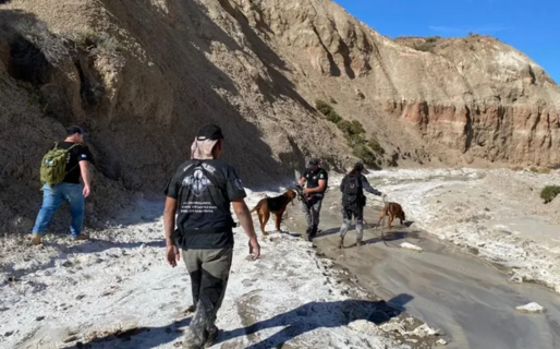 Un perito cuestionó la demora y fallas en la búsqueda de Pedro y Juana