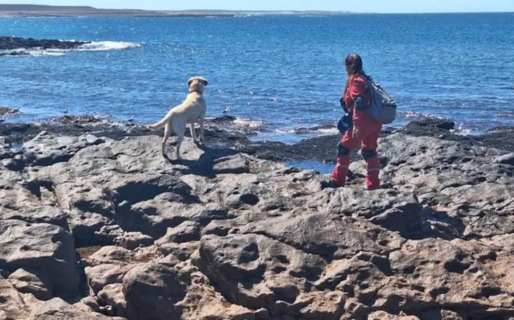 Quién era la persona que fue hallada muerta en medio de la búsqueda de Juana y Pedro
