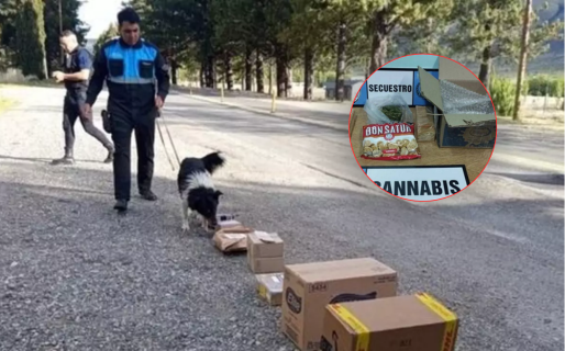 Chubut: Canes detectaron marihuana en una encomienda durante operativos en rutas