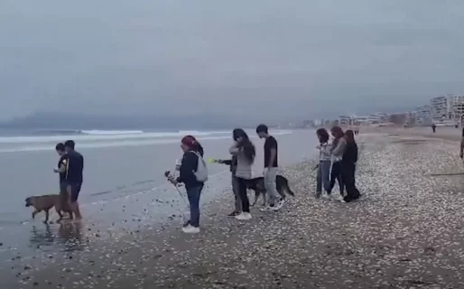 La emotiva despedida al joven argentino que fue arrastrado por el mar en Chile tras dar por finalizada la búsqueda