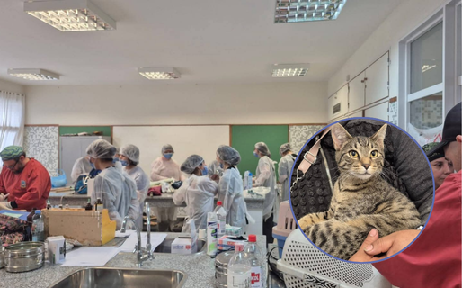 Entrega de turnos para esterilizaciones gratuitas en el barrio Las Flores