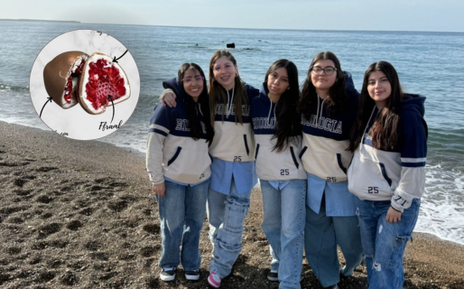 Estudiantes presentarán «Framulina»: un bocado dulce que combina frambuesa, chocolate e ingredientes del mar