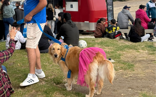 Comodoro vivió una tarde diferente con el gran encuentro de Golden Retriever