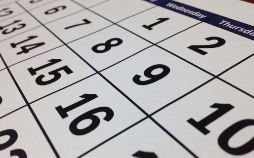 Fin de semana largo: a qué día se traslada el feriado por el Día de la Soberanía