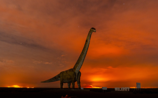 El incendio de campos sobre ruta 8 al norte de Trelew está controlado