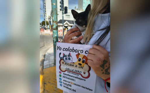 Este domingo se volverá a realizar la jornada de adopción de perros y gatos