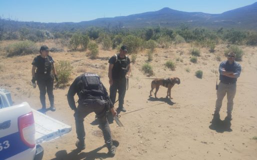 El joven fue encontrado camino a Diadema, estaba deshidratado y quedó internado