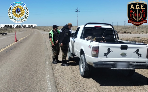 Decomisan carne de guanaco tras un control policial a 60 kilómetros de Comodoro