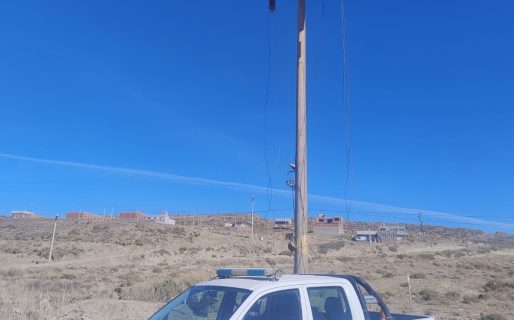 Persecución y ataque: un dogo mordió a una policía tras recibir la orden de su dueño