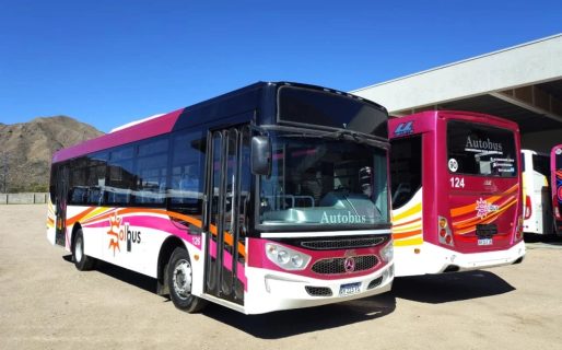 El apoderado de MR SRL declaró que la empresa «ganó la licitación del transporte público» y pidió que el Ejecutivo adjudique el servicio