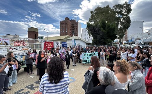 Amplia convocatoria a la marcha para pedir Pirotecnia Cero en Comodoro
