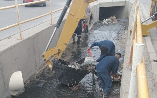 Continúan las tareas de limpieza y mantenimiento en el canal de Avenida Roca
