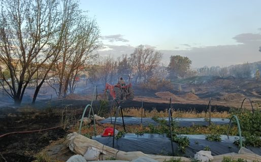 Bomberos combaten un voraz incendio en un vivero detrás de un supermercado