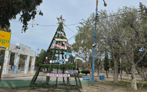 Convocan a los vecinos a sumar adornos al árbol de la plaza de Palazzo