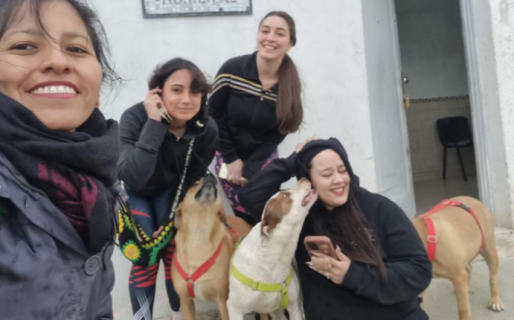 Destacan el compromiso de las voluntarias del Centro de Salud Animal en Comodoro