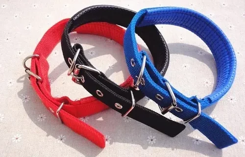 La pirotecnia vuelve a poner en riesgo a los perros comunitarios: piden collares para identificarlos