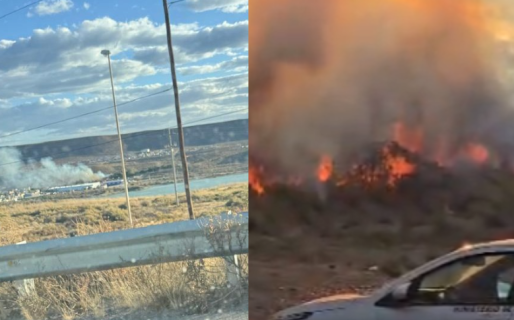 Bomberos combaten un voraz incendio en un vivero detrás de un supermercado