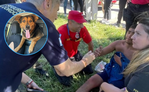 Un joven con retraso madurativo estuvo desaparecido una semana y lo encontraron: su perro estuvo todo el tiempo a su lado