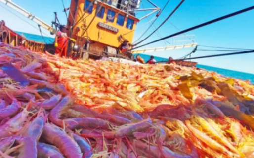 Persiste el reclamo para eliminar las retenciones a la pesca