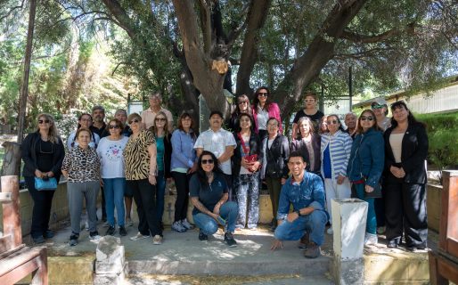 La SCPL, el INBIOP y Jubilados del Petróleo realizaron un taller sobre cultivo de olivos