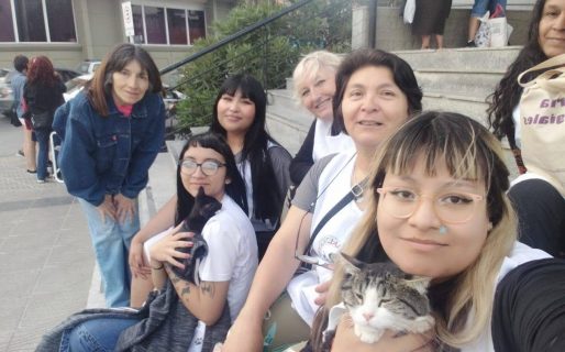 Este domingo volverán a realizar la jornada de adopción de perros y gatos