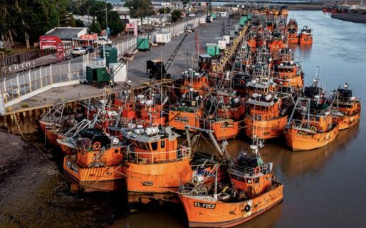 <strong>Pesca de Nación dispuso controles en los desembarques del Puerto Rawson </strong>