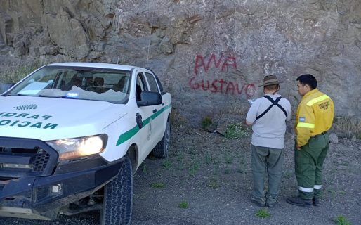 Vandalismo en el Parque Nacional Nahuel Huapi: denuncian a un chofer por daños al patrimonio natural