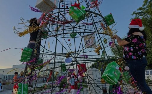 Vecinales de Pueyrredón y Roca invitan a participar del armado del árbol navideño en avenida Polonia