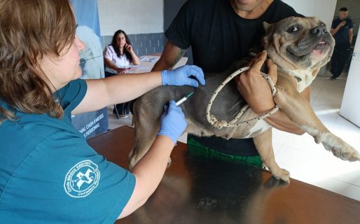 Jornada gratuita de vacunación antirrábica en barrio Las Flores