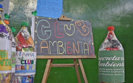 El Club Ambiental despidió el ciclo 2025 con una muestra educativa