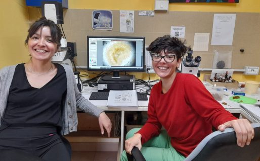 Es becaria de Chubut y descubrió dos nuevas especies de hongos endémicos