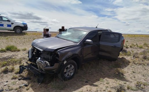 Una familia chocó contra un guanaco en la Ruta N° 3: no hubo heridos