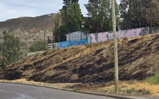 Navidad: Bomberos intervinieron en 26 emergencias y 24 fueron por incendios en pastizales