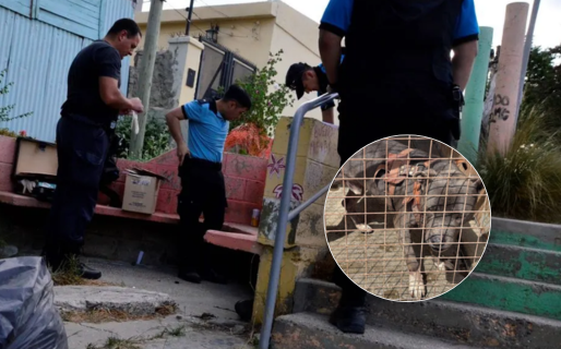 Atacó a balazos a un hombre y a su perro: seguirá preso hasta febrero por tentativa de homicidio