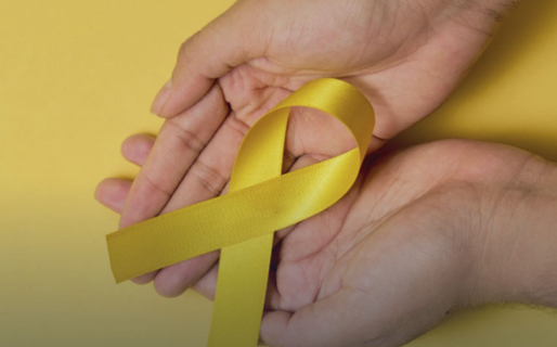 La Mesa Intersectorial para el abordaje del suicidio cierra el año con una reunión abierta a la comunidad