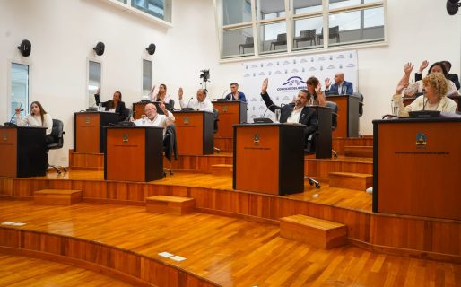 ¿Qué hicieron los concejales en el 2025?