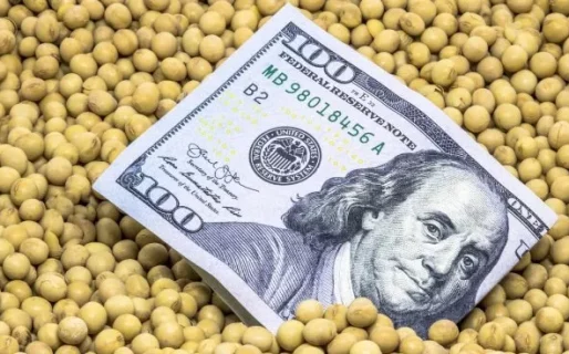 La liquidación de dólares del agro se desplomó 32% en noviembre y entraron solo u$s760 millones