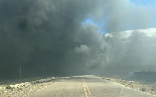 Voraz incendio de pastizales en inmediaciones del Autódromo
