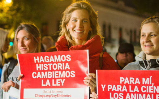 El proyecto de Ley Sintientes llega al Congreso: la norma que busca que los animales dejen de ser considerados “cosas”