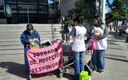 «Trae tu rescatado»: se prepara una nueva jornada de adopciones en el centro
