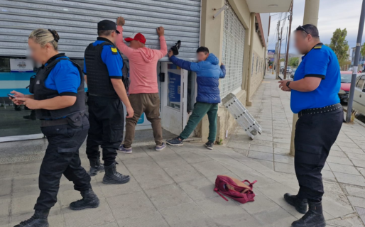 Ingresaron a un patio y se robaron una escalera: terminaron detenidos