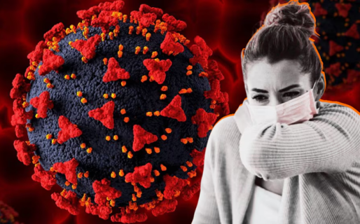 La ANLIS Malbrán detectó tres casos de influenza A (H3N2) subclado K en Argentina, dos de ellos en Santa Cruz