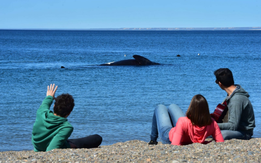 Feriados 2026: el Gobierno confirmó tres días no laborables y habrá más fines de semana extralargos