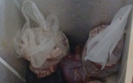 Investigan la venta de carne por redes sociales tras un caso de SUH en una niña