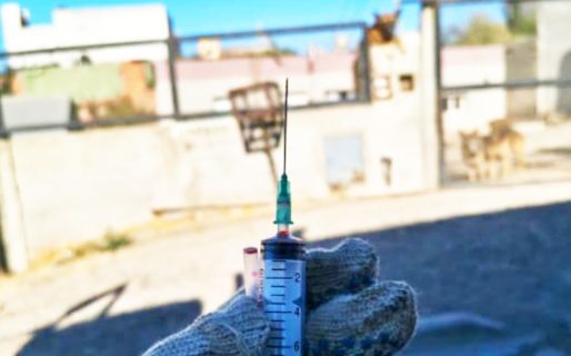 Un recolector se pinchó con una jeringa y piden mayor conciencia en el descarte de residuos