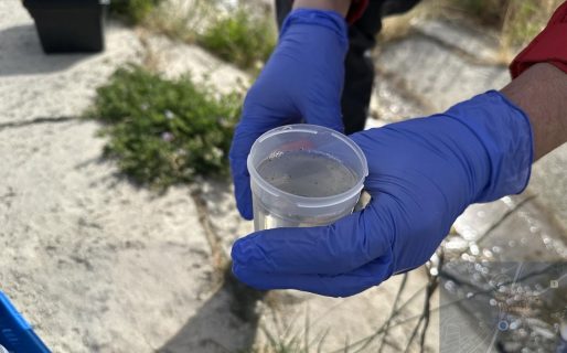 El Municipio intensifica los controles ambientales en la ciudad