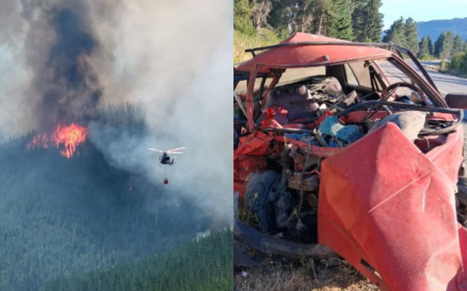Ayudó contra los incendios de El Hoyo, escapó del fuego con su perro por Ruta 40 y murió en un accidente