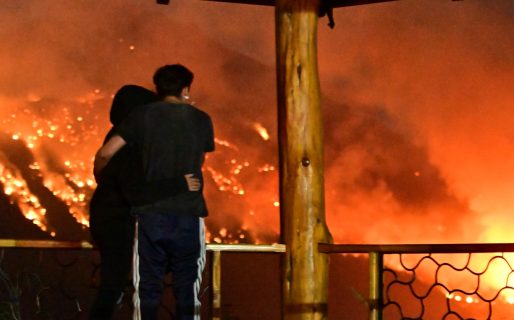 Emergencia total: Comodoro junta donaciones para asistir a animales y familias en El Hoyo