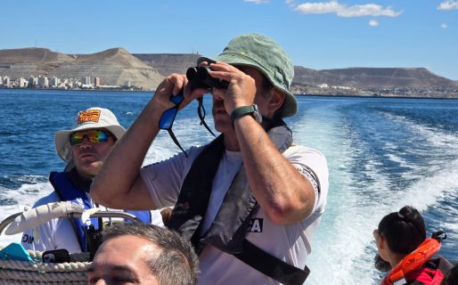 Avistaje de ballena sei impulsa el turismo náutico en Comodoro