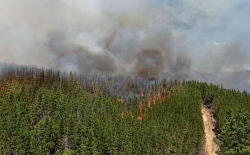 <strong>Con más de 230 personas y 6 medios aéreos, continúa el fuerte operativo para controlar el incendio en Puerto Patriada</strong>